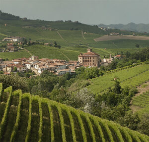 Vigneti patrimonio UNESCO - Piemonte Land of Wine